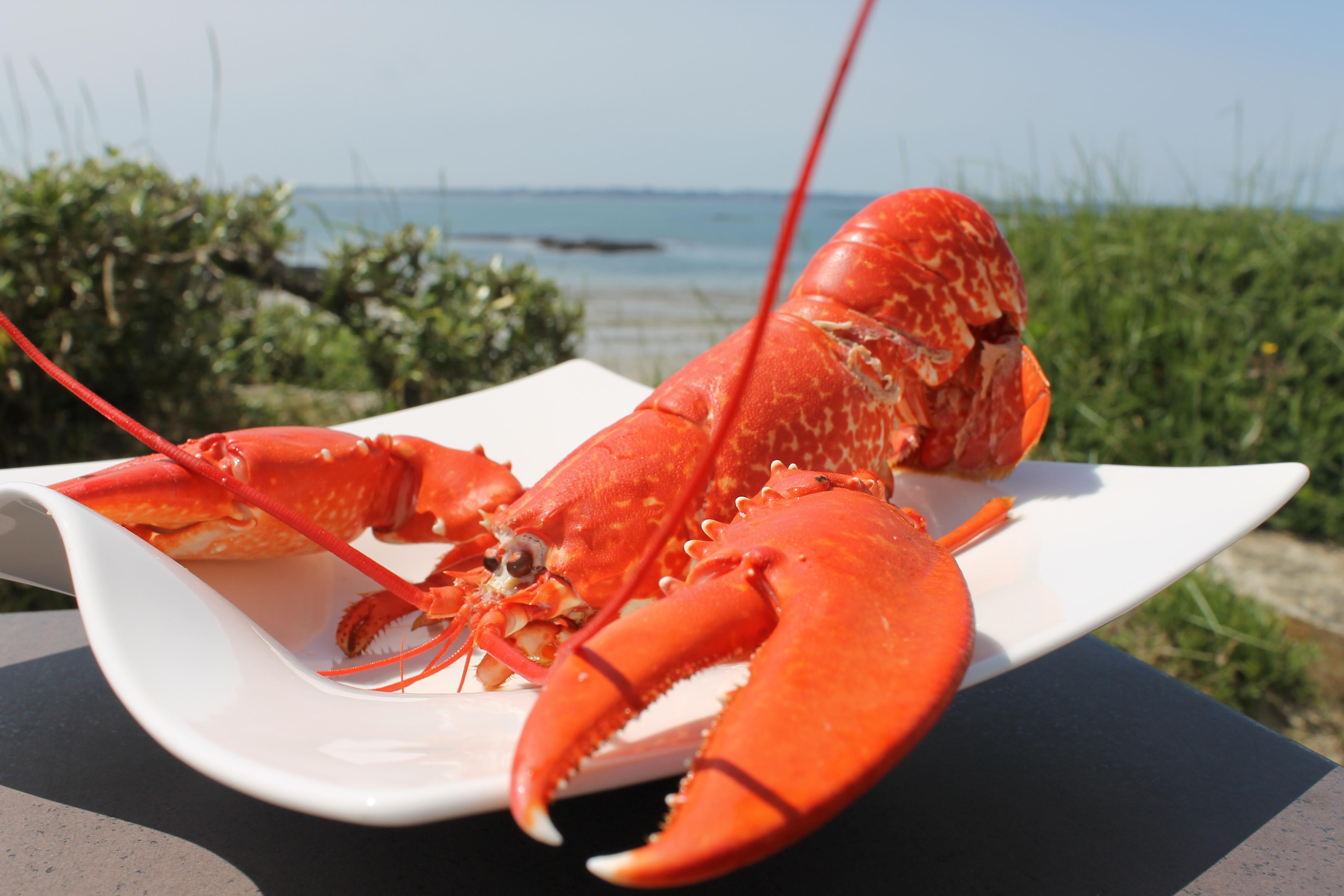 -- Hotel&restaurant -- Les Mouettes ----- - Proche De Lorient Hotel Larmor-Plage