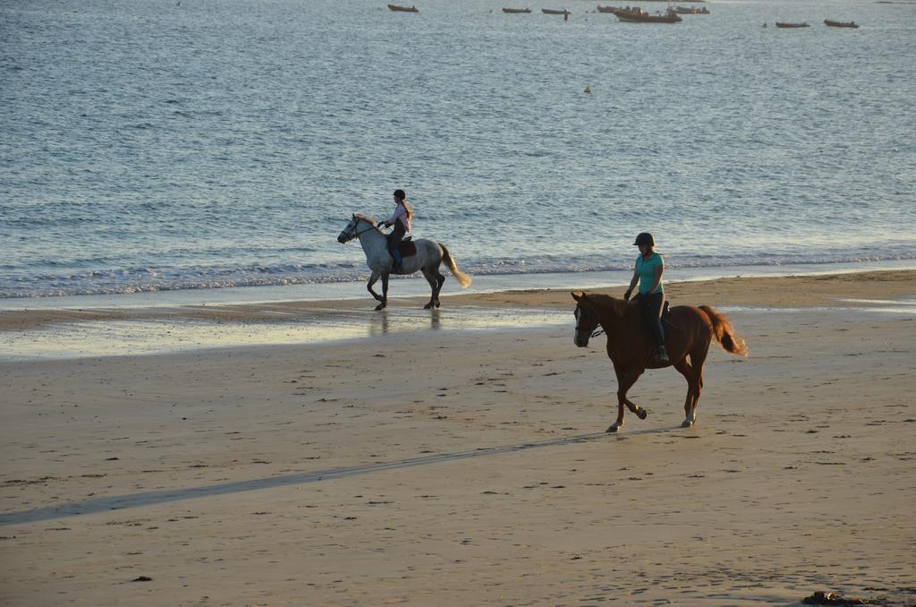 -- Hotel&restaurant -- Les Mouettes ----- - Proche De Lorient 3* Larmor-Plage