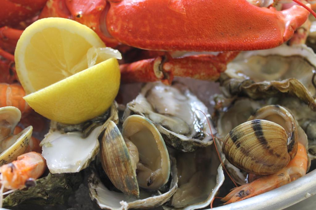 -- Hotel&restaurant -- Les Mouettes ----- - Proche De Lorient Hotel Larmor-Plage