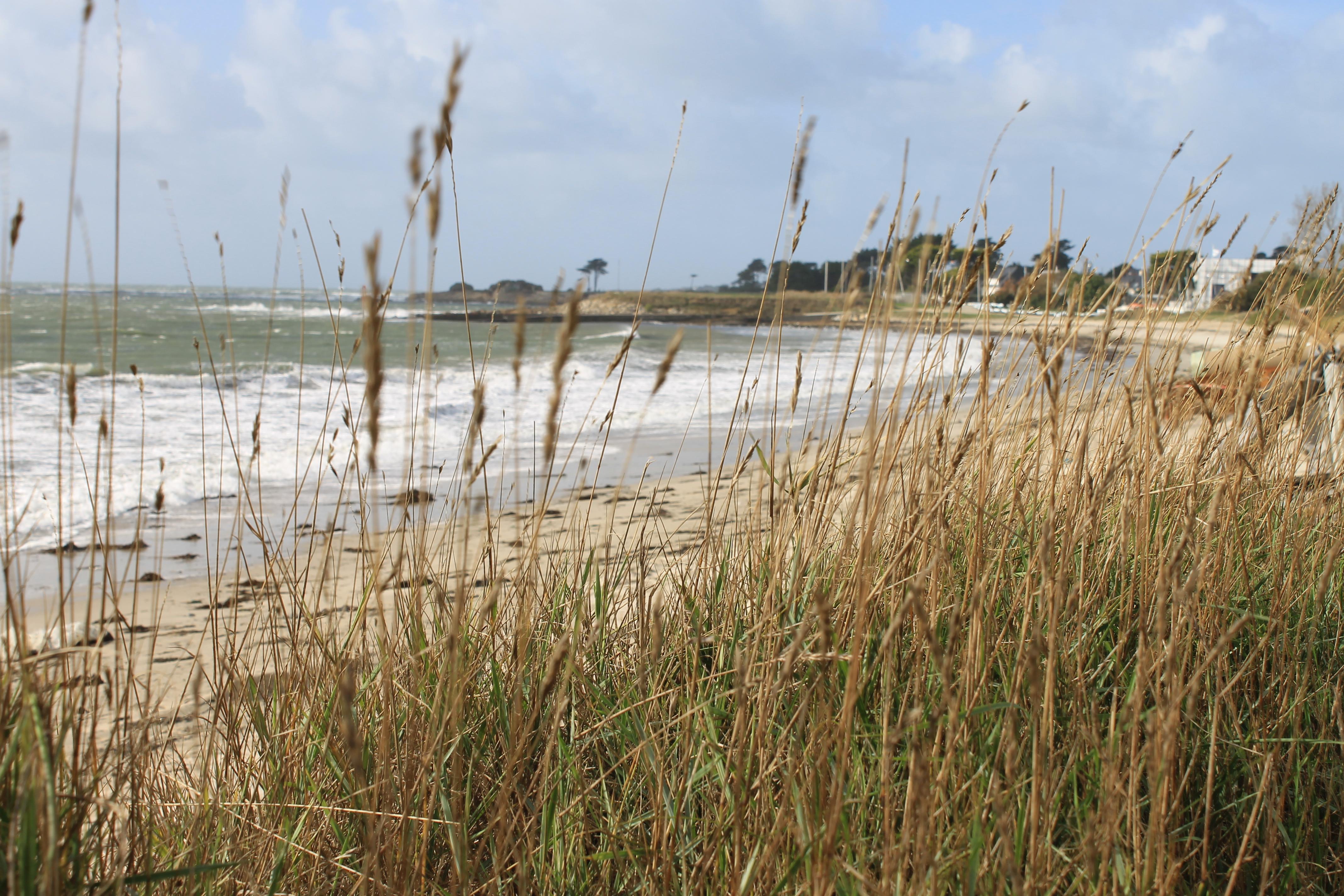 -- Hotel&restaurant -- Les Mouettes ----- - Proche De Lorient Hotel 3*